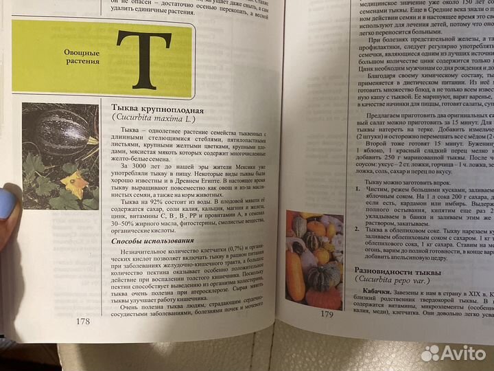 Энциклопедия пищевых растений Н.В. Остапенко