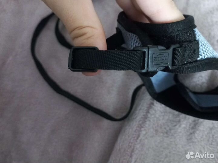 Шлейка для грызунов