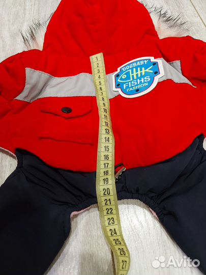 Одежда для собак мелких пород