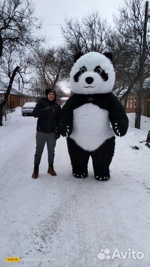 Поздравление от панды