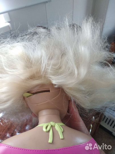 Учебная голова