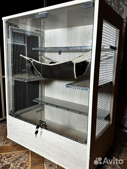 Витрина новая для шиншиллы