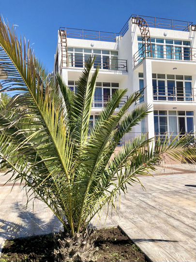 Коттедж 350 м² на участке 7 сот.