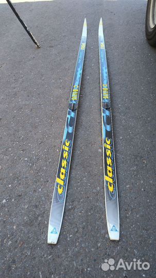 Лыжи tisa classic