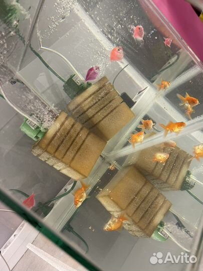 Аквариум 30л