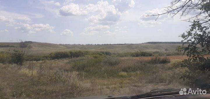 С/х животные