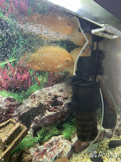 Аквариум 125 л