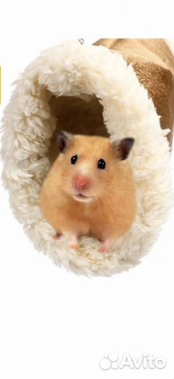 Домик для грызунов