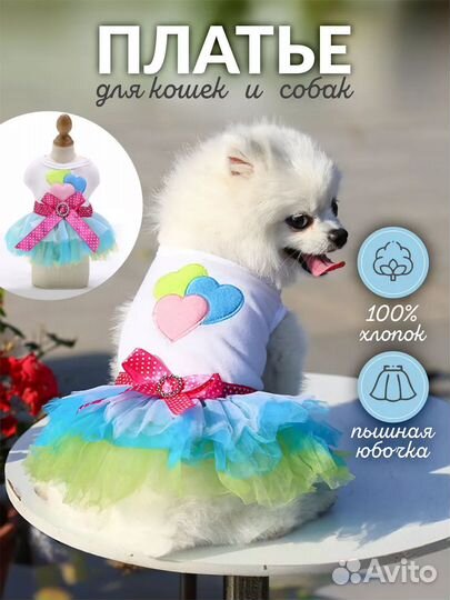 Платье для кошек и собак