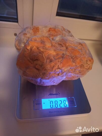 Грибы замороженные