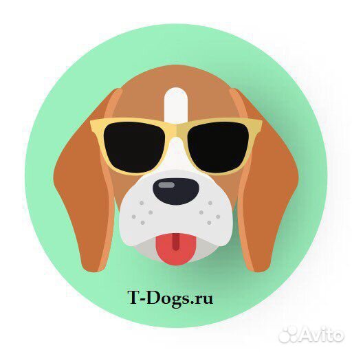 Дрессировка собак Москва и М.0