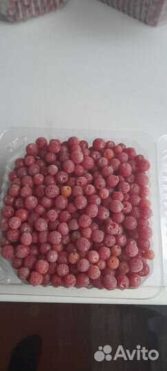 Облепиха Садовая - ягоды свежемороженные - сочные