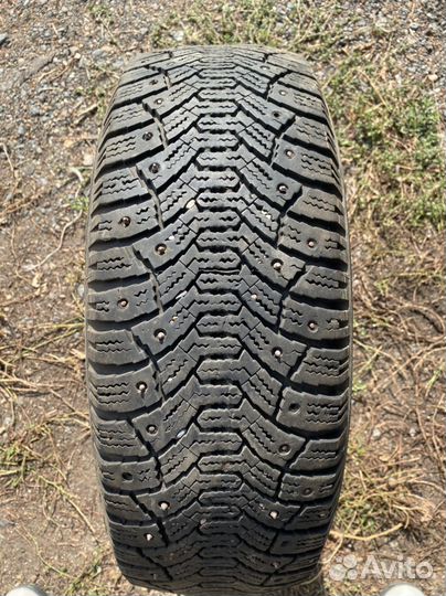 Cordiant Polar 185/60 R14