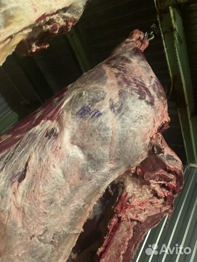 Мясо говядина