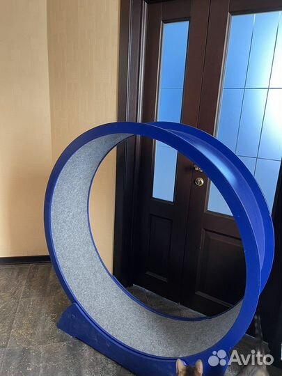 Беговое колесо для кошек