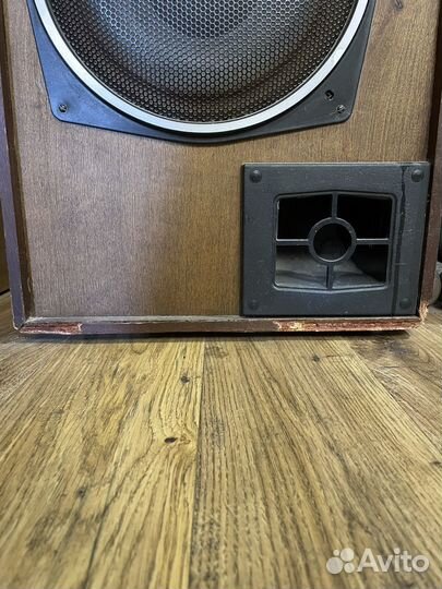 Акустические колонки Союз 50 ас 012