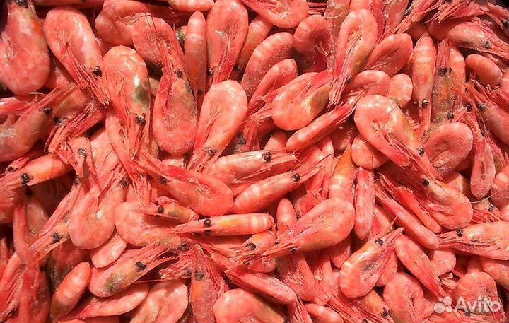 Креветка северная 5 кг