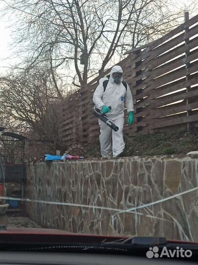 Обработка территорий от клещей