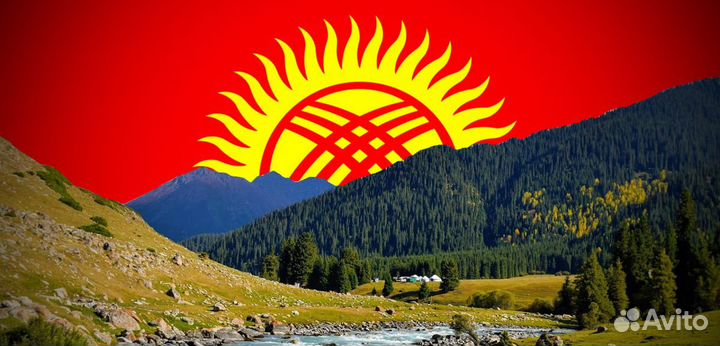 Регистрация осоо Кыргызстан