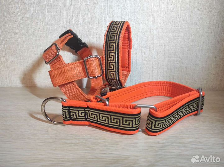 Амуниция для собак (ошейники, шлейки, недоуздки)