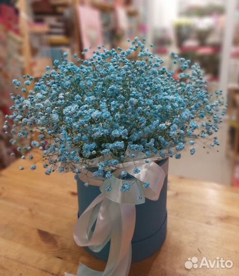 Цветы, Розы, хризантемы, Доставка, Гипсофила