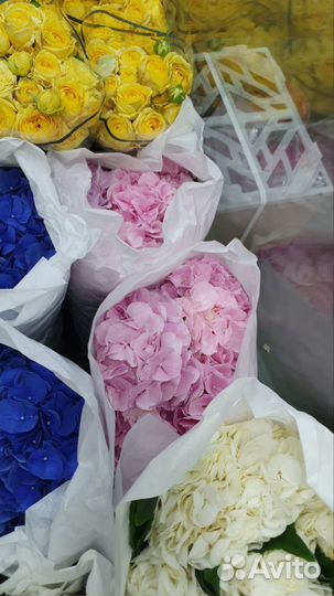 5 гортензий букет с доставкой