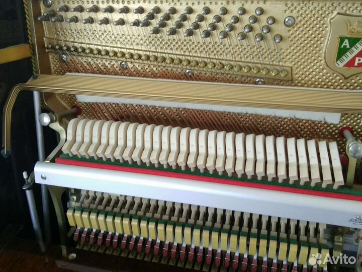 Фортепиано Petrof P118 H1