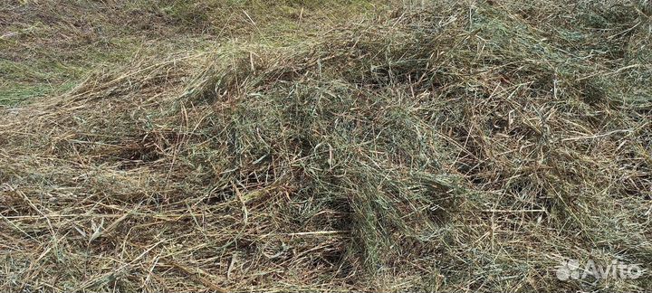 Сено в рулонах 2024