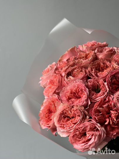 25 роз mandarin X-pression