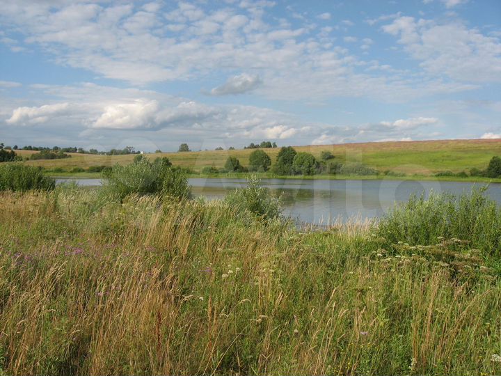 Участок 40 сот. (ИЖС)