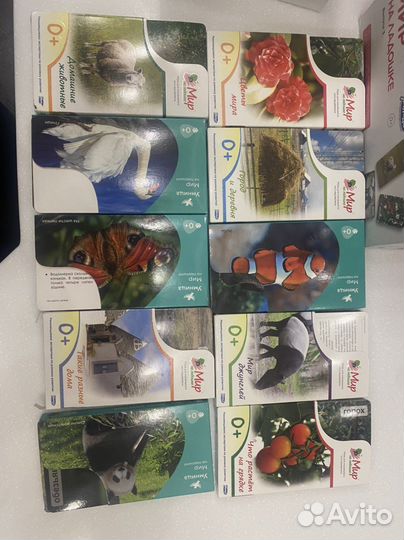 Умница мир на ладошке