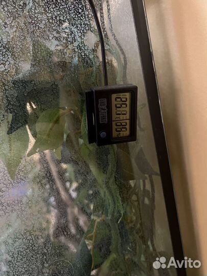 Принадлежности для террариума