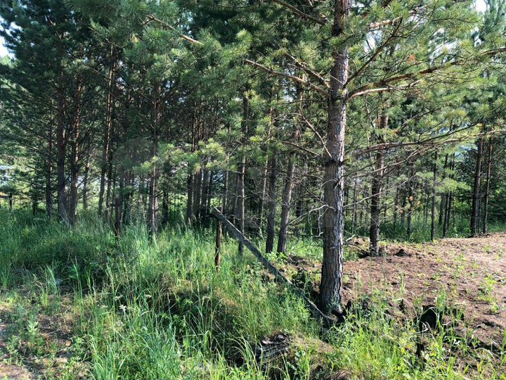 Участок 10 сот. (ИЖС)