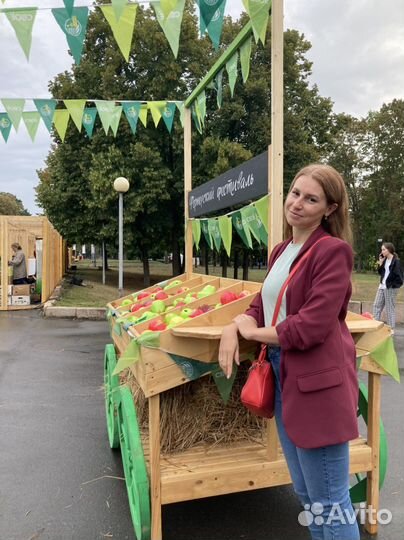 Организатор мероприятий, event, координатор