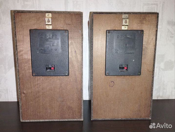 Акустические колонки Radiotehnika S-30B