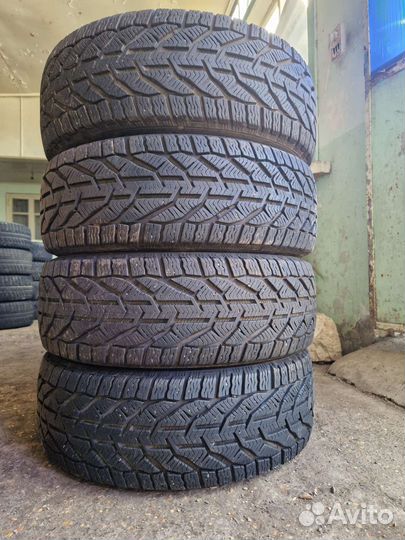 Tigar Winter 1 195/55 R16