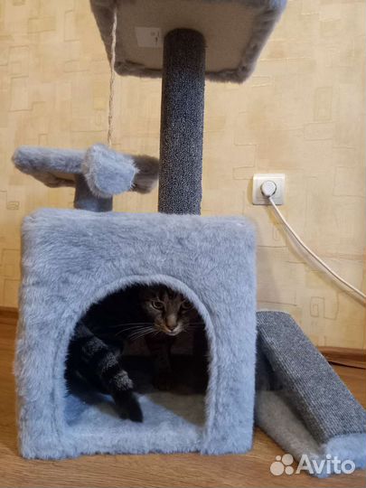 Домик с когтеточкой для кошек