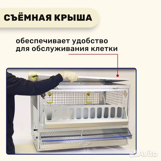 Клетки для кур несушек