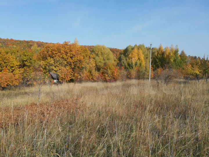 Участок 10 сот. (ИЖС)