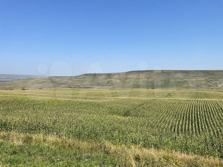 Участок 1300 га (СНТ, ДНП)