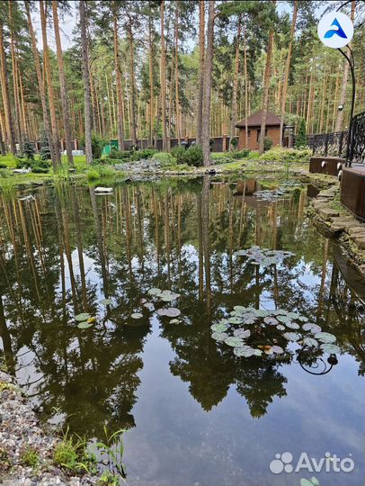 Красивый пруд: ваша мечта станет реальностью