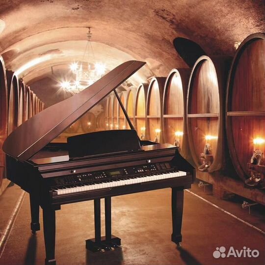 Рояль цифровой Orla