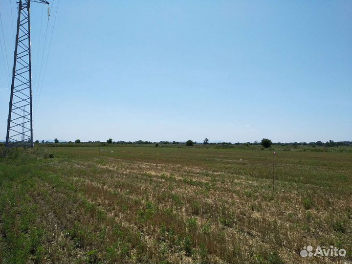 Приму Грунт и Бой от разбора здания для отсыпки
