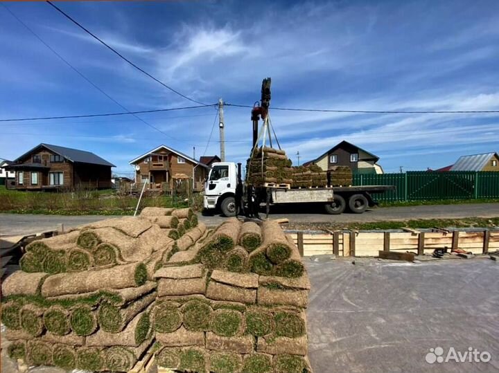 Рулонный газон, элитные травосмеси