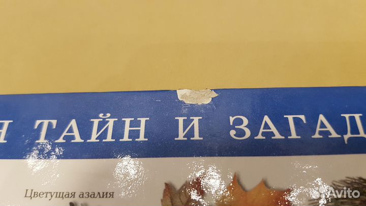 3 книги про лес и деревья - одним лотом