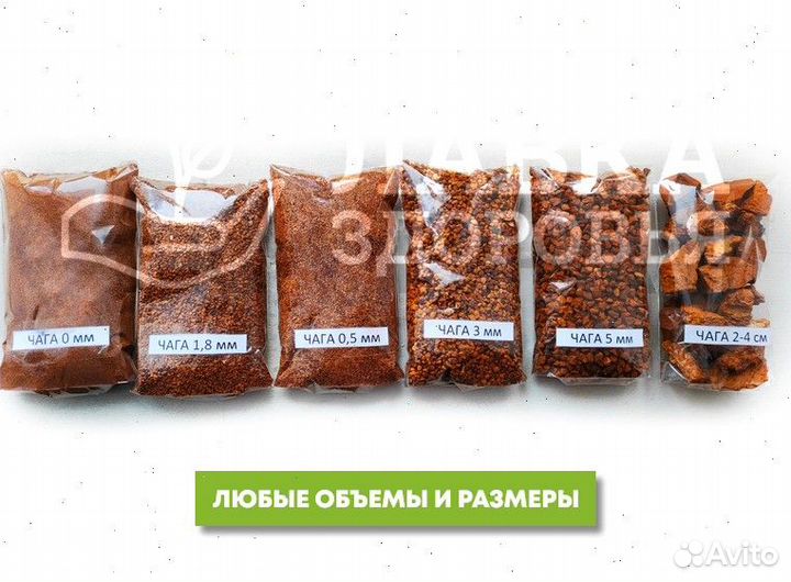 Чага сушеная опт. Любые объемы и виды