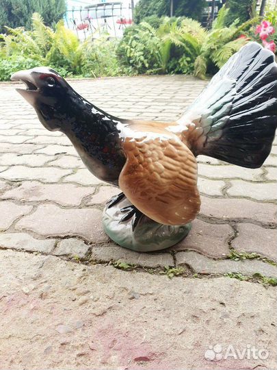 Большой глухарь