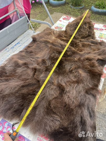 Шкура медведя