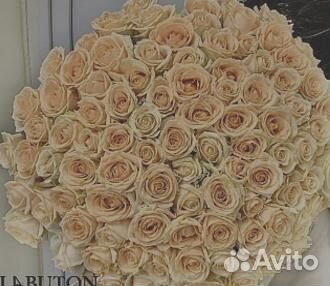 Букет из 101 красных роз Цветы