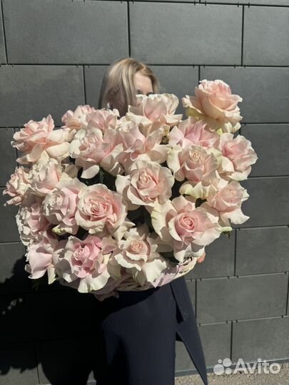 Французские розы